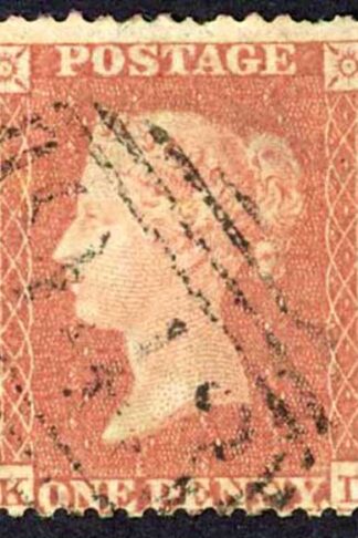 Penny Star (KD) C2 Plate 202 (Thin) Cat 100 pounds