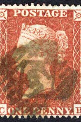 Penny Star (CH) C4 Plate 3 (Fault bottom left corner) Cat 150 pounds