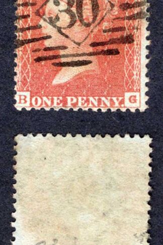 Penny Star (BG) C3 Plate 6 MINUTE G Cat 175 pounds