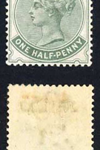 Zululand 1888-93 SG.12 1/2d dull green with stop good to fine mint cat 55 pounds