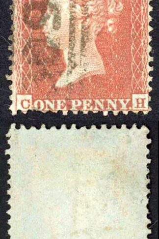 Penny Star (CH) C2 Plate 204 (Pulled Perf at Bottom) Cat 350 pounds