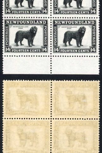 Newfoundland SG216 14c Perf 13.5 U/M Cat 30+ pounds