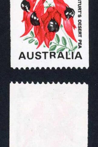 Australia BW535e RA of Australia short at base U/M