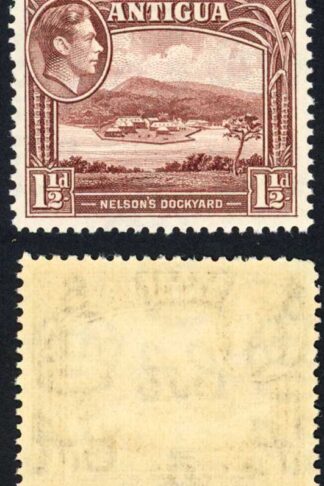 Antigua SG100 1 1/2d Dull Reddish Brown U/M Cat 4 pounds