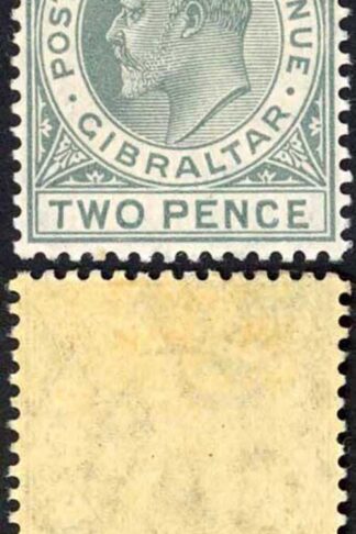 Gibraltar SG89 2d Greyish slate M/M Cat 11 pounds