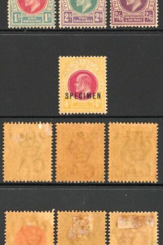 Natal SG127s/39s 1902 Set of 13 Opt SPECIMEN M/M (toned gum) Cat 300 pounds