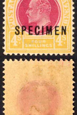 Natal SG139s 1902 4/- (Top Value) opt SPECIMEN M/M