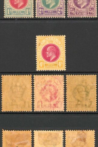 Natal SG127/39 1902 Set of 13 M/M (toned gum) Cat 275 pounds
