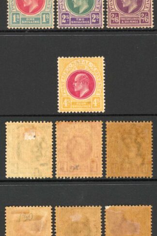 Natal SG127/39 1902 Set of 13 M/M (toned gum) Cat 275 pounds