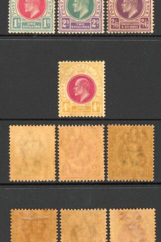 Natal SG127/39 1902 Set of 13 M/M (toned gum) Cat 275 pounds