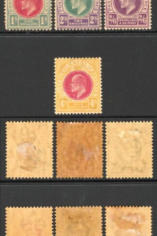 Natal SG127/39 1902 Set of 13 M/M (toned gum) Cat 275 pounds