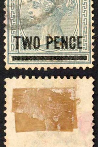 Natal SG105 2d on 3d Grey Fine used Cat 6.50 pounds