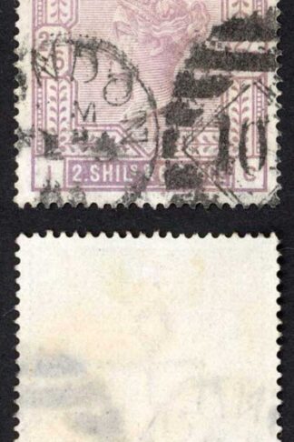 SG178 2/6 Lilac cat 160 pounds