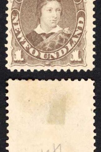 Newfoundland SG44 1c Dull Grey-brown mint no gum Cat 60 pounds