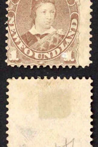 Newfoundland SG44 1c Dull Grey-brown mint no gum Cat 60 pounds