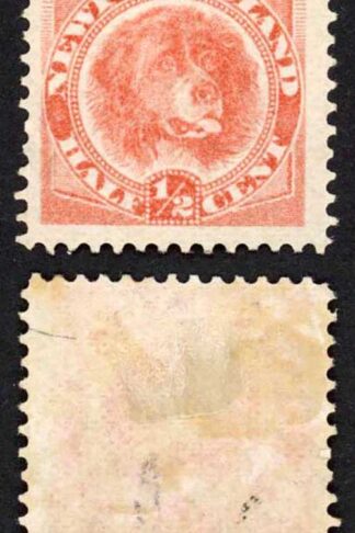 Newfoundland SG62 1/2c Orange-vermilion M/M Cat 65 pounds