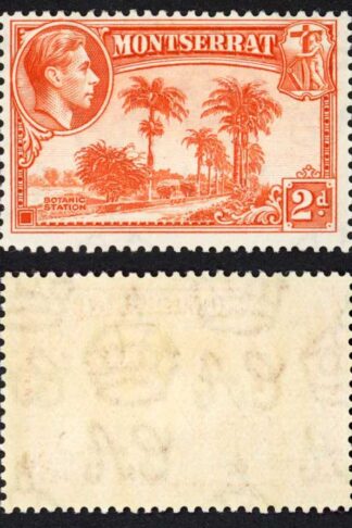 Montserrat SG104 2d Orange Perf 13 U/M Cat 25 pounds