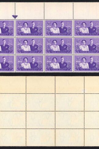 South Africa SG112 1947 Royal Visit 2d Violet Arrow Block of 12 U/M (toned gum)