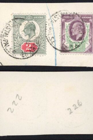 KEVII SG221 and SG225 on Piece Cat 49 pounds