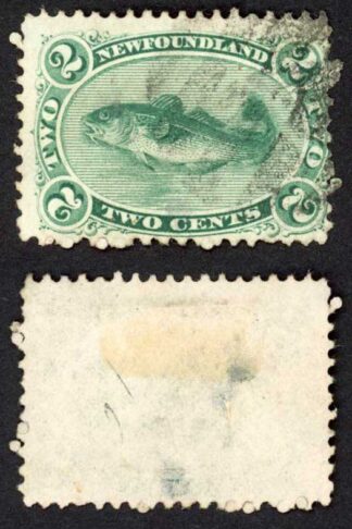 Newfoundland SG31 2c Bluish Green (light thin) Medium White Paper Cat 50 pounds