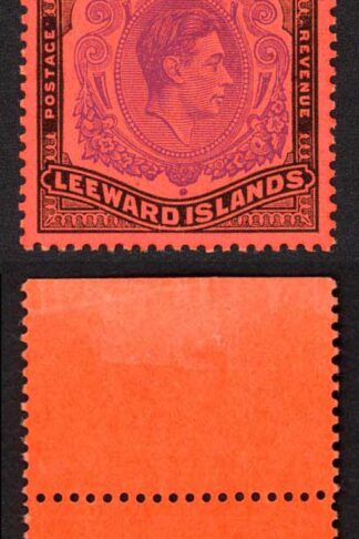 Leeward Is SG114c One Pound Perf 13 Violet and Black/Scarlet U/M Cat 30 pounds