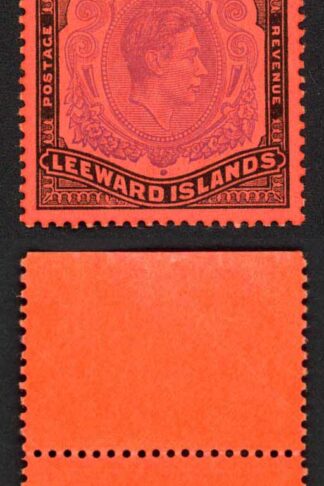 Leeward Is SG114c One Pound Perf 13 Violet and Black/Scarlet U/M Cat 30 pounds