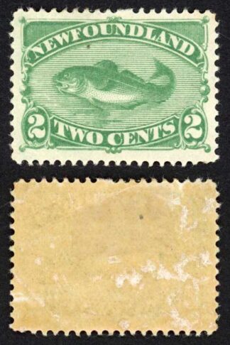 Newfoundland SG64 2c Green Fresh Colour M/M Cat 120 pounds