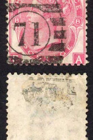 SG103 3d Rose Plate 8 (small crease) Cat 60 pounds
