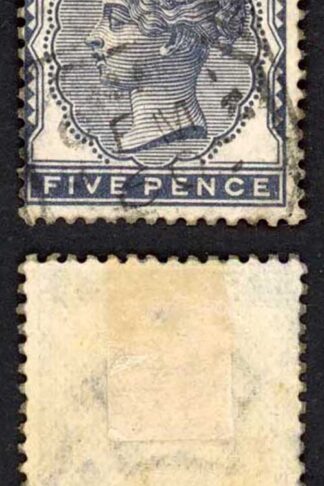 SG169 5d Indigo Cat 175 pounds