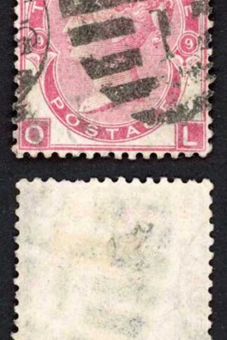 SG103 3d Rose Plate 9 Cat 70 pounds