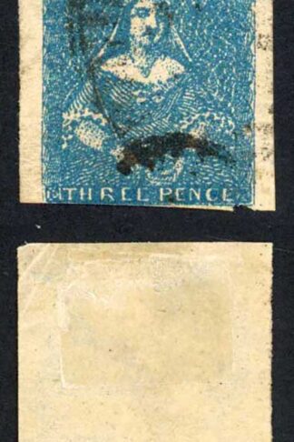 Victoria 3d Blue Half length