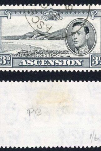 Ascension SG42b 3d Black and Grey Perf 13 Fine used Cat 5 pounds