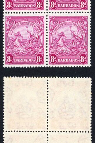 Barbados SG254a 8d magenta Block U/M
