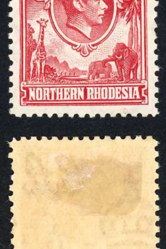 Northern Rhodesia SG29 KGVI 1 1/2d Carmine-red M/M Cat 50 pounds