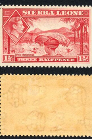 Sierra Leone SG190 1 1/2d Scarlet M/M Cat 20 pounds