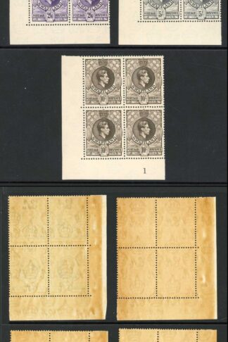Swaziland SG28/38 KGVI Set of 11 Perf 13.5 x 13 U/M Blocks Cat 1142 Pounds