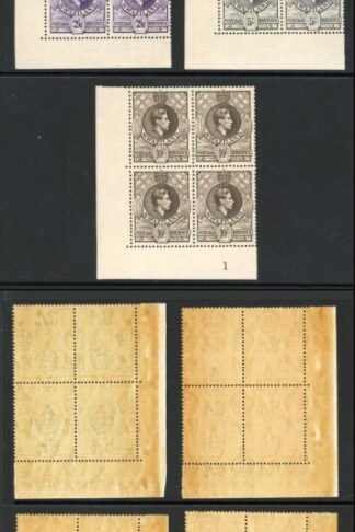 Swaziland SG28/38 KGVI Set of 11 Perf 13.5 x 13 U/M Blocks Cat 1142 Pounds