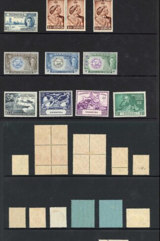 Bermuda selection including High Value M/M
