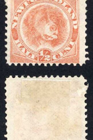 Newfoundland SG49 1/2c Rose Red New Colours Perf 12 No Gum Cat 18