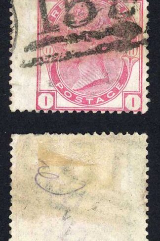 SG143 3d Rose Plate 11 Cat 40 pounds