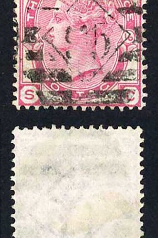 SG143 3d Rose Plate 16 Cat 40 pounds