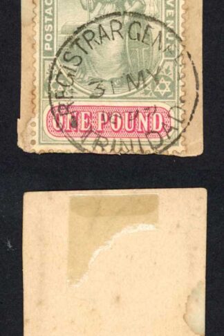 Trinidad SG124 One Pound wmk CA Registrar-General cancel (Fiscal use)