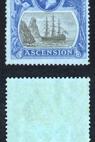 Ascension SG19 Grey-black and blue/blue U/M Cat 75 pounds