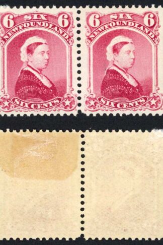 Newfoundland SG14 6d Rose Mint Pair 1 x U/M other hinge remainders Cat 50 pounds