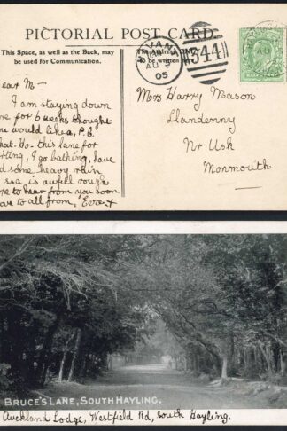 KEVII 1905 Hayling Island CDS on a local postcard
