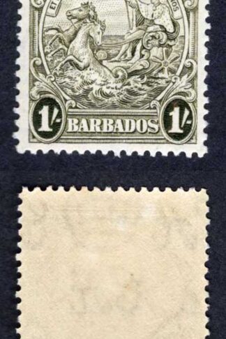 Barbados SG255 1/- Olive-green SUPERB U/M Cat 18 pounds