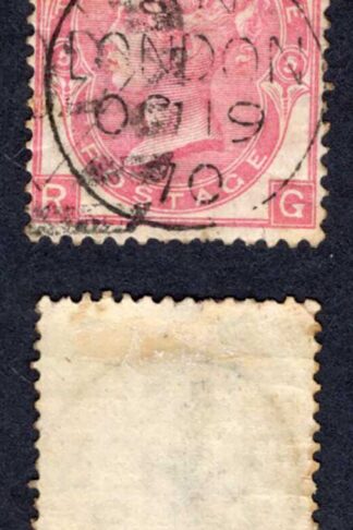 SG103 3d Rose Plate 5 Cat 40 pounds