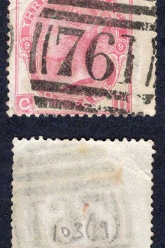 SG103 3d Rose Plate 9 (corner crease) Cat 40 pounds