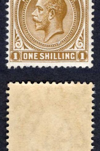 Falkland Is SG65 1/- Light Bistre-brown Wmk Mult CA Fine M/M Cat 32 pounds
