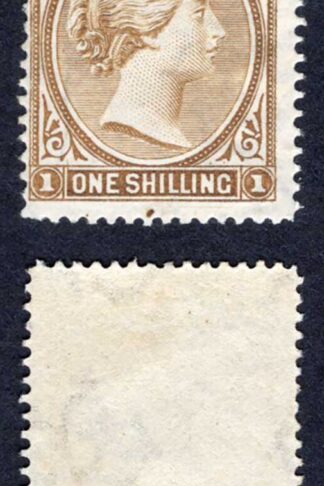 Falkland Is SG38 1/- Yellow-brown With PLATE DOT Fine M/M Cat 90 pounds